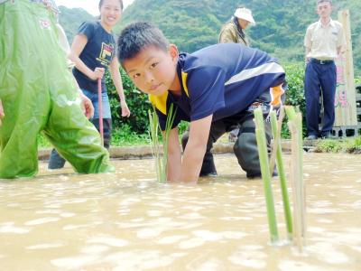 大鵬小「美人農場」以在地食材推廣食育教育