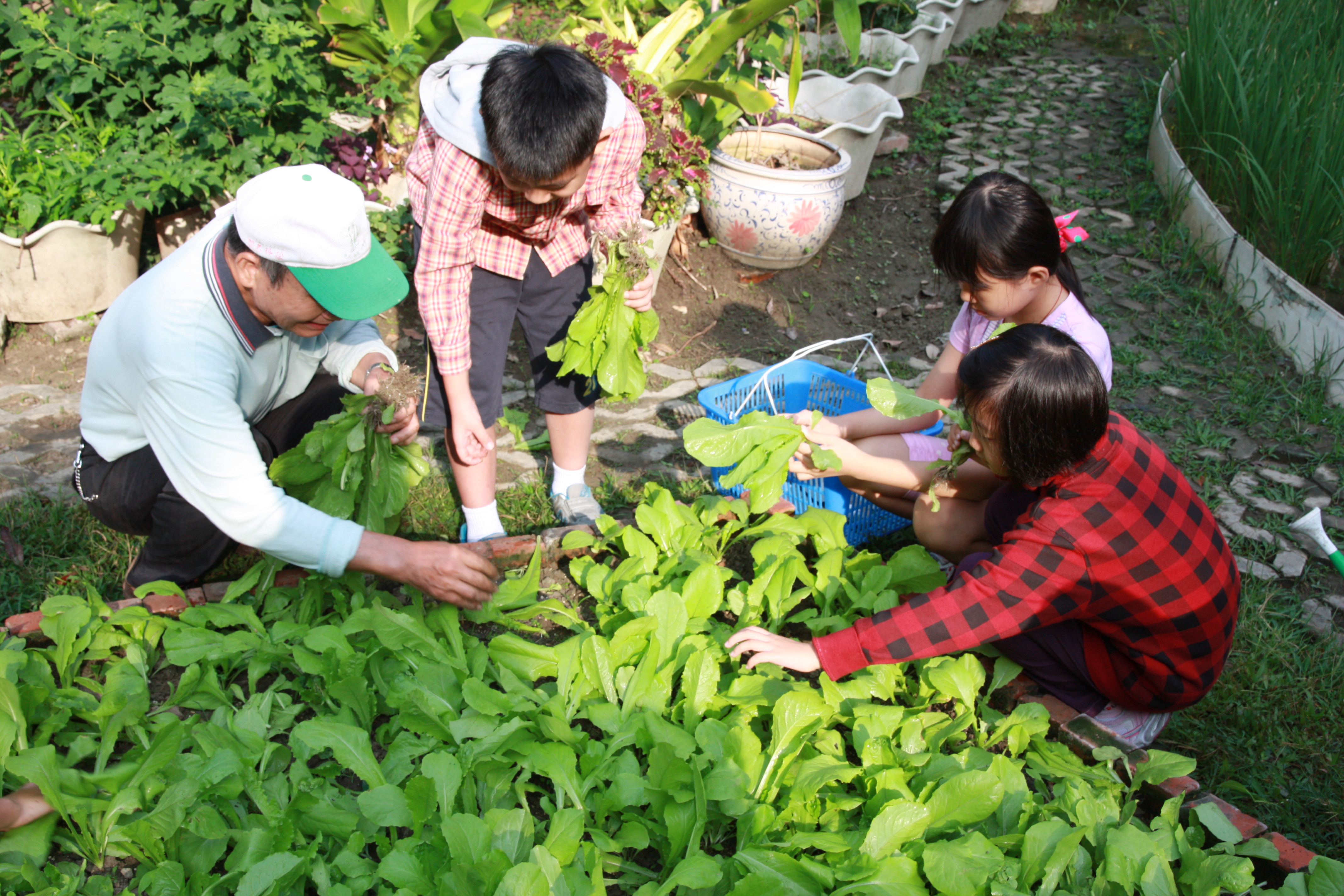 新泰農場培養學童關懷責任心.JPG