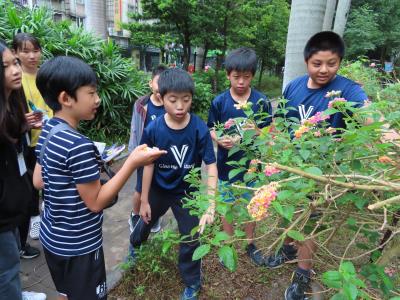 用簡易英文與肢體語言為韓國學生講解