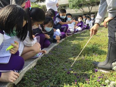 2莒光國小學生在老師的指導下進行觀察及小詩寫作.jpg