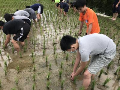 圖三：農事挲草，實踐里山精神的一環